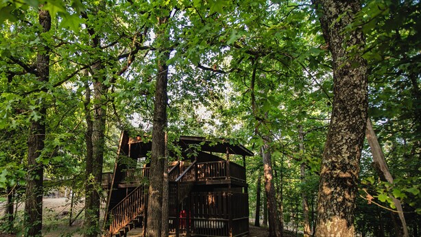 Eine Holzhütte, umgeben von Bäumen in einem Wald.