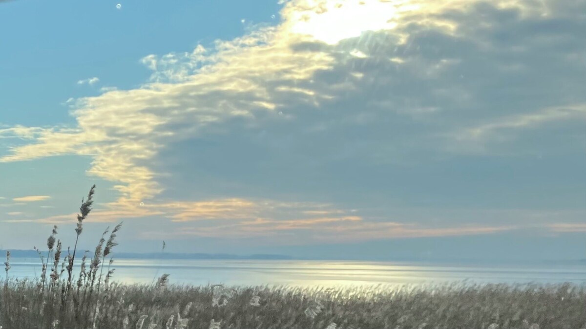 オーナーのプロフィール画像