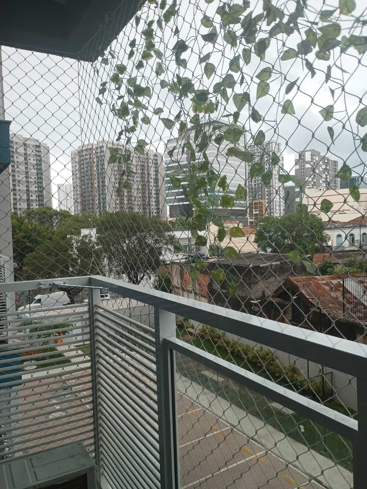 Área da propriedade