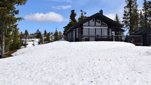 Une cabane dotée d’une grande fenêtre, entourée de neige et d’arbres.