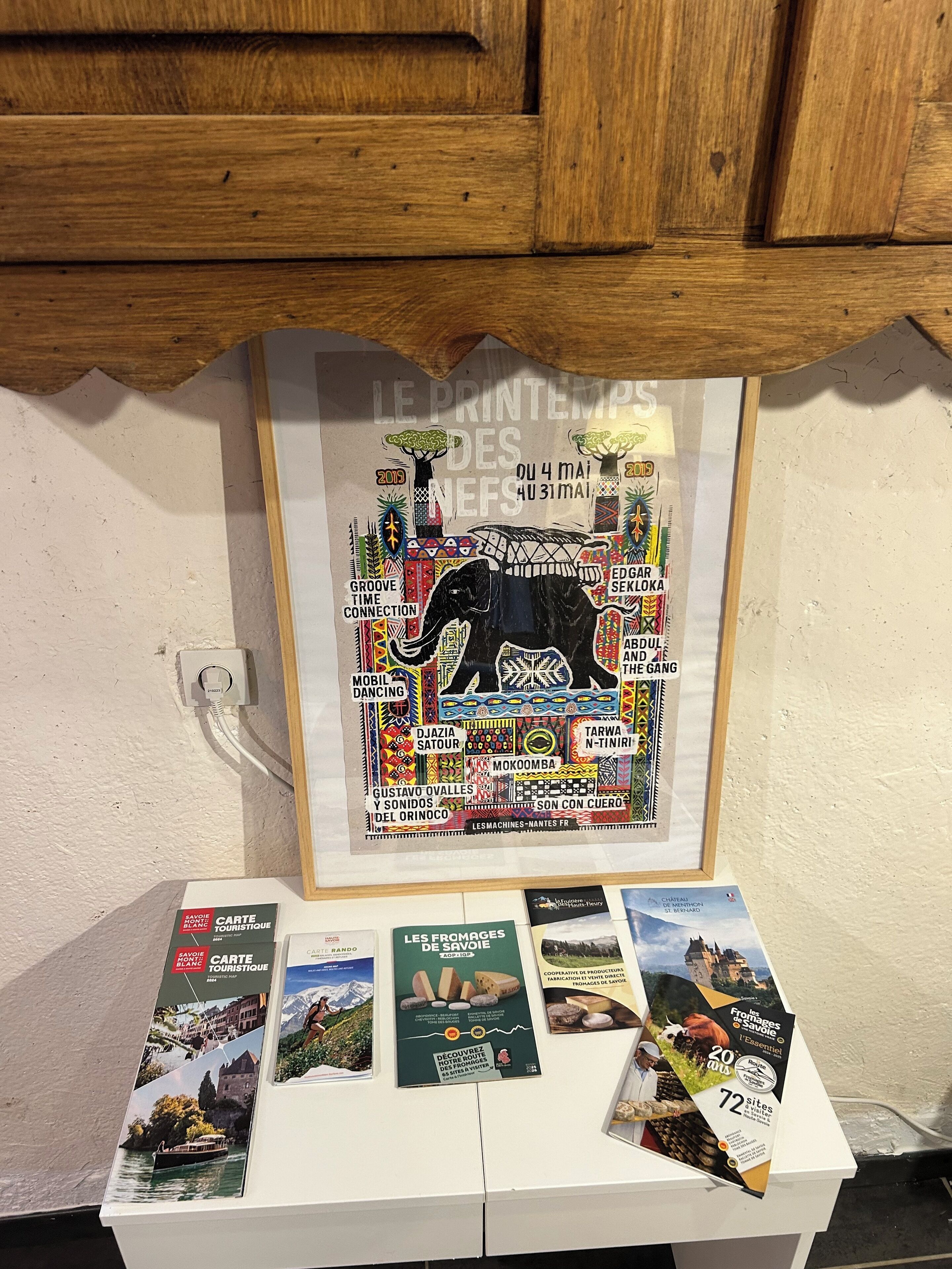 A framed poster with a black elephant and colorful patterns, placed above a table with brochures.