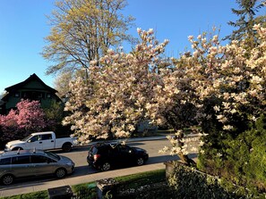 Property grounds - Charming 3-Bedroom Character Home in Central Vancouver (Vancouver)