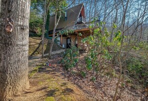 Exterior - A-frame cabin - Low level with private entrance . No guests live  above you .  (Canton)