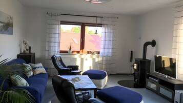 TV, fireplace, video games