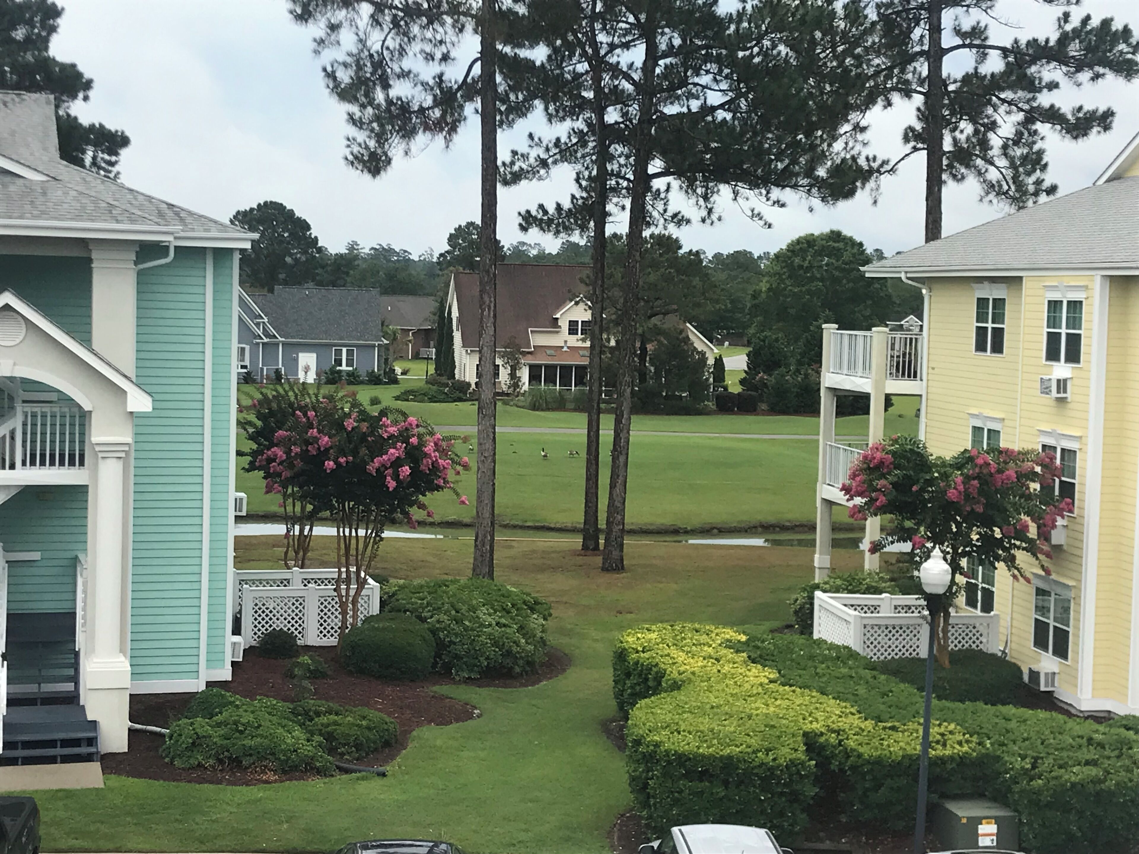 المنطقة المحيطة بالمنشأة