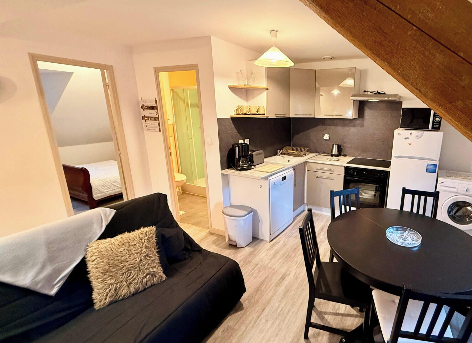 Un espacio habitable compacto con kitchenette, comedor y baño pequeño.