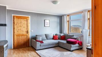 TV, fireplace, DVD player