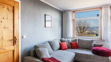 Een televisie, een open haard en een dvd-speler