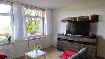 Televisión, chimenea, reproductor de DVD