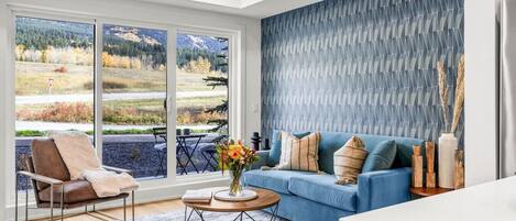 Televisión y chimenea