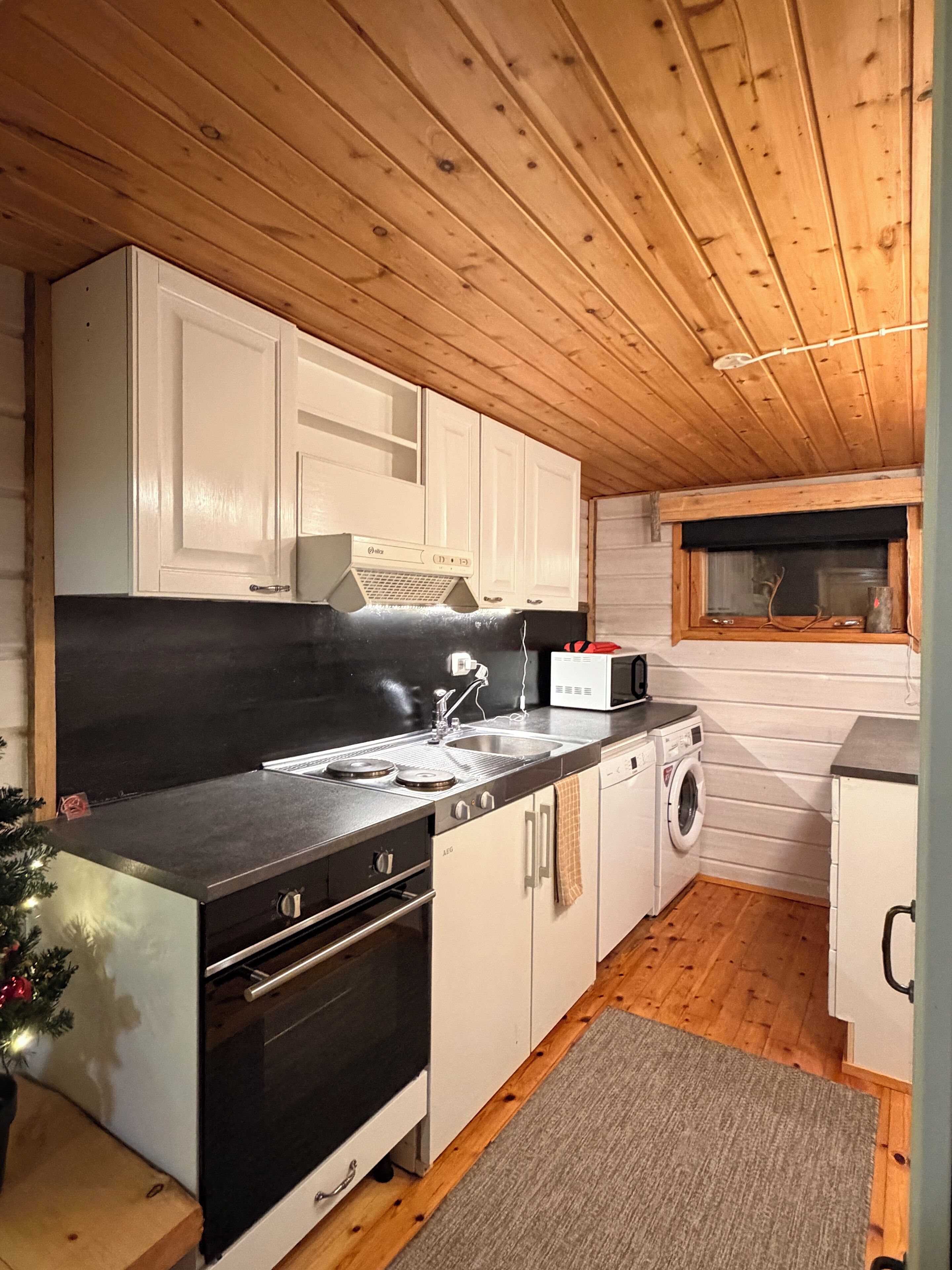 Superior Apartment, River View | Private kitchen | Fridge, microwave, oven, stovetop