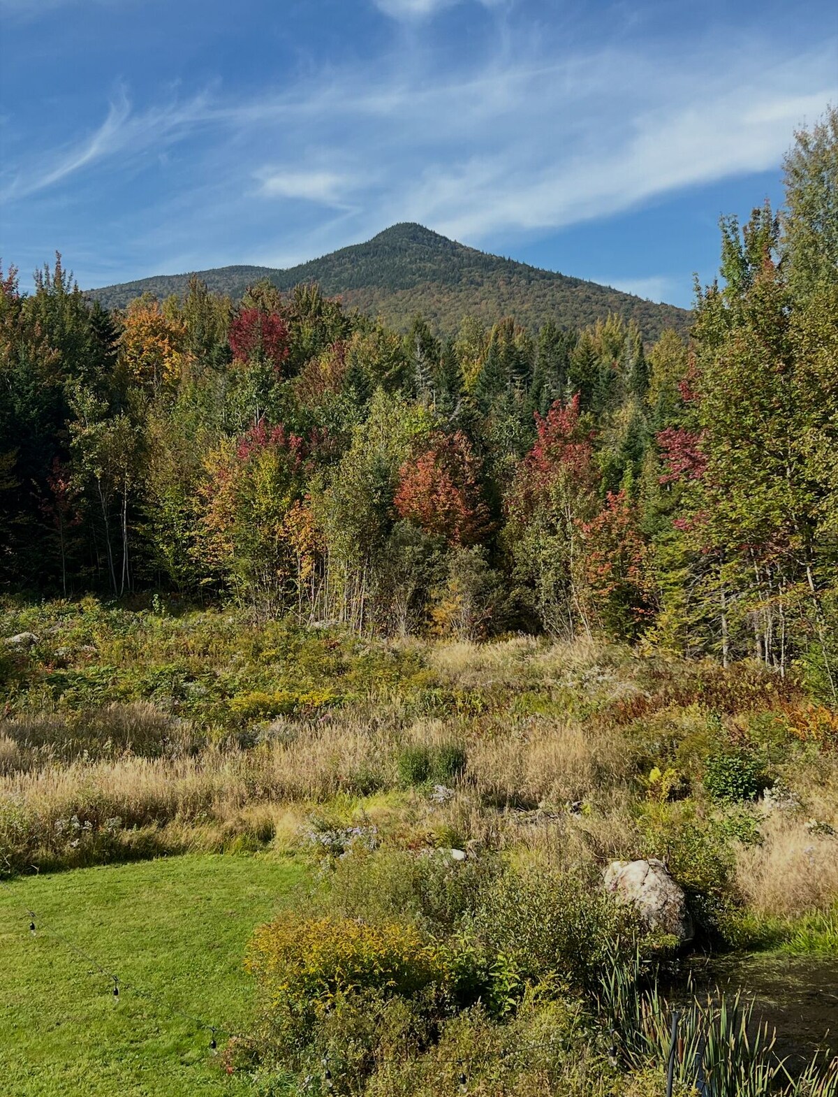 Imagen de perfil del propietario o de la propietaria