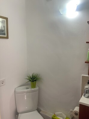 Een douche, een haardroger, handdoeken, zeep