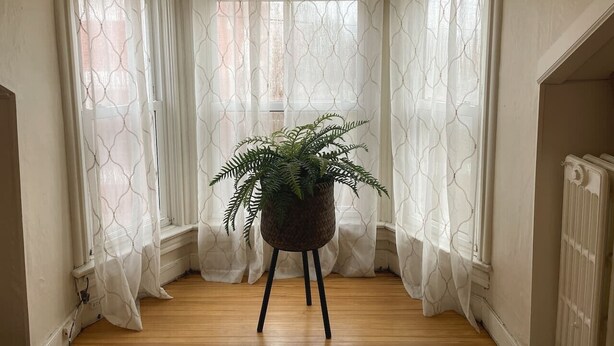 Una habitación de esquina con un helecho en maceta sobre un taburete, cortinas blancas y un radiador.