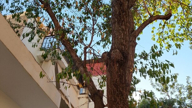 Unclassified image, 1 of 36, button - Yr Olewydden, a 2-bedroom house in a tranquil neighborhood of authentic Piraeus (Keratsini)