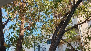 Unclassified image, 4 of 36, button - Yr Olewydden, a 2-bedroom house in a tranquil neighborhood of authentic Piraeus (Keratsini)