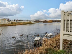Property grounds - Annalake (Grange-over-Sands)