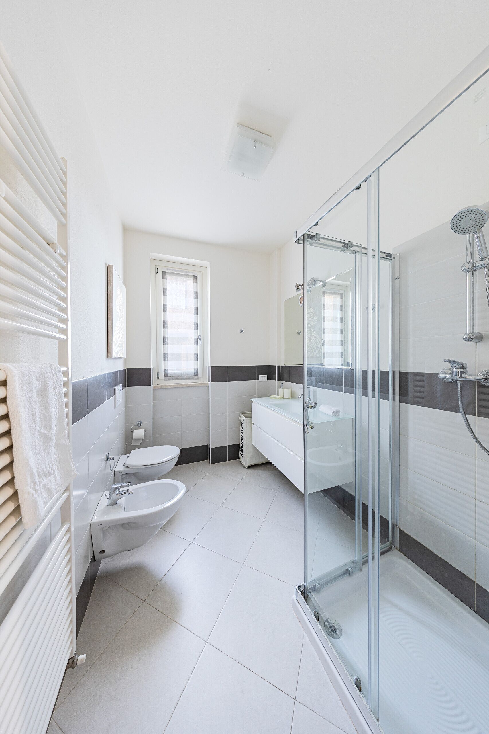 Shower, hair dryer, bidet, towels