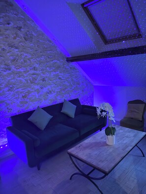 Living area - Le maréchal Deluxe T2 Tours centre-Nationale- Vieux tours (Tours)