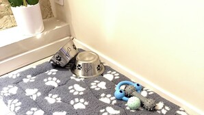 A pet area with a grey and white paw print rug, a metal dog bowl, a blue toy, and a potted plant. - Le maréchal Deluxe T2 Tours centre-Nationale- Vieux tours (Tours)