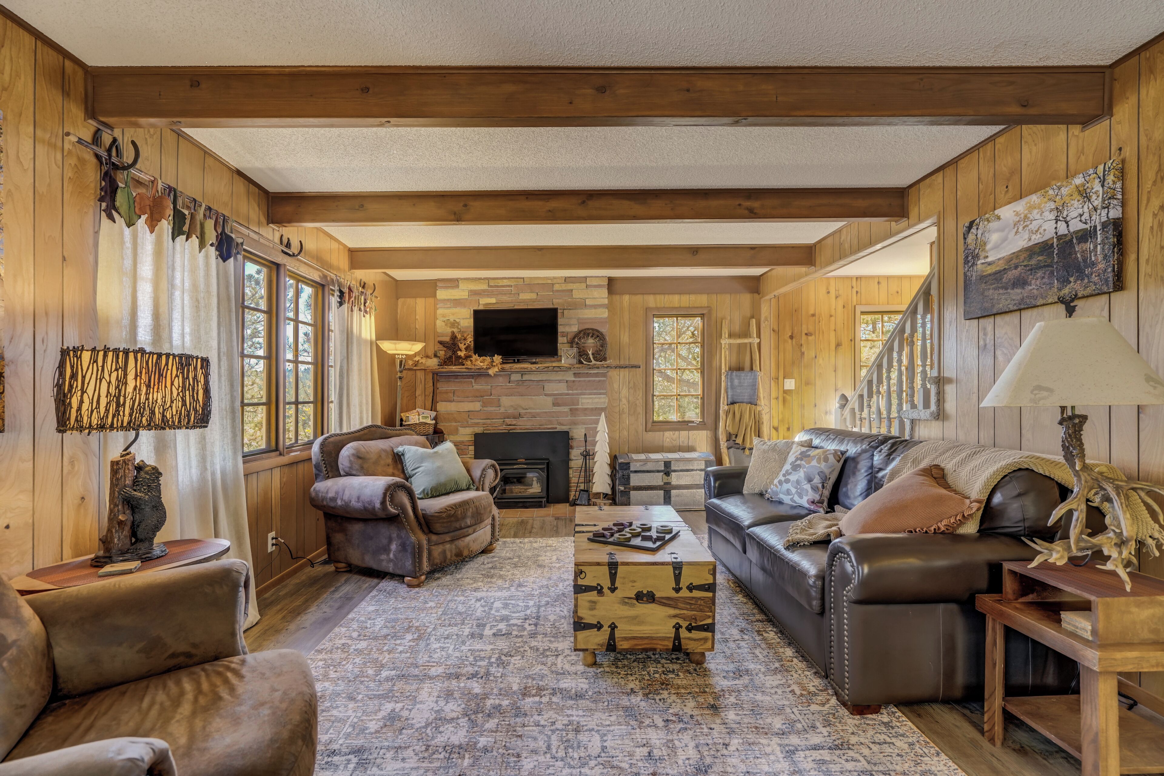 Smart TV, fireplace, books