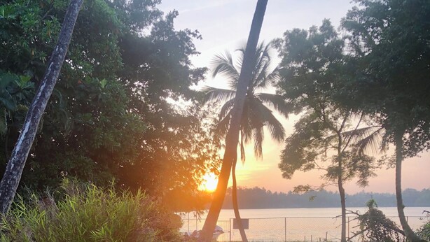 A grassy area with a pathway leading to a body of water, surrounded by trees and a fence. - 3 Bedroom Villa with the view of Bentota river. (Aluthgama)