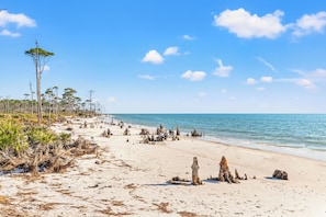 A beach with driftwood and sparse vegetation. - Pet Friendly Beach House - Salt Therapy (Port St. Joe)