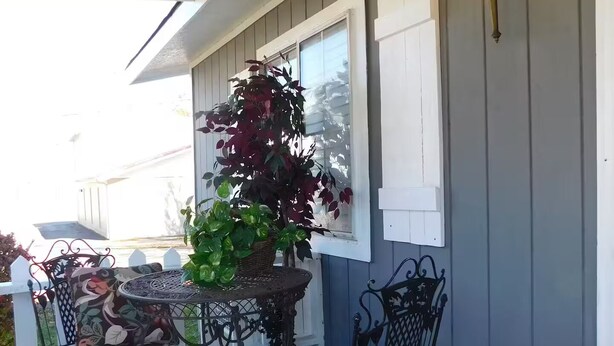 Une véranda avec une table et deux chaises, une plante en pot et un luminaire fixé au mur.