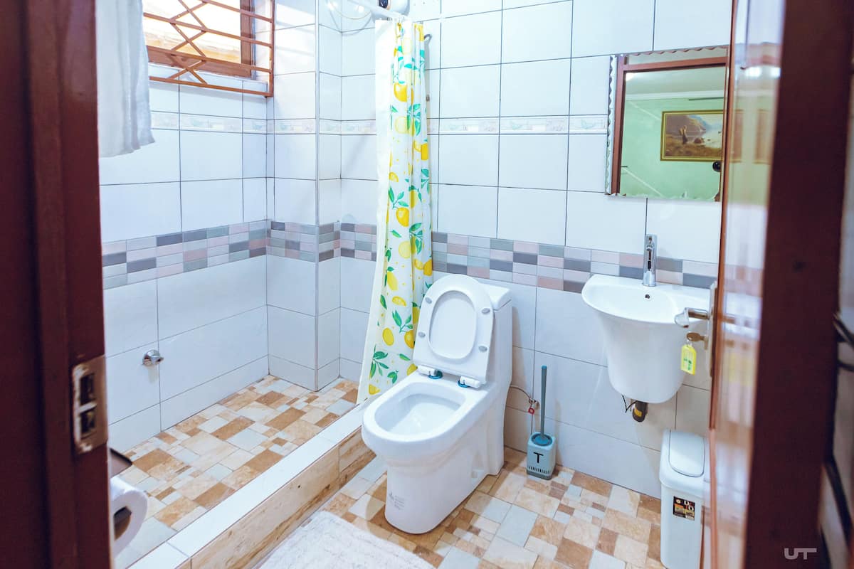 Shower, towels, soap, toilet paper