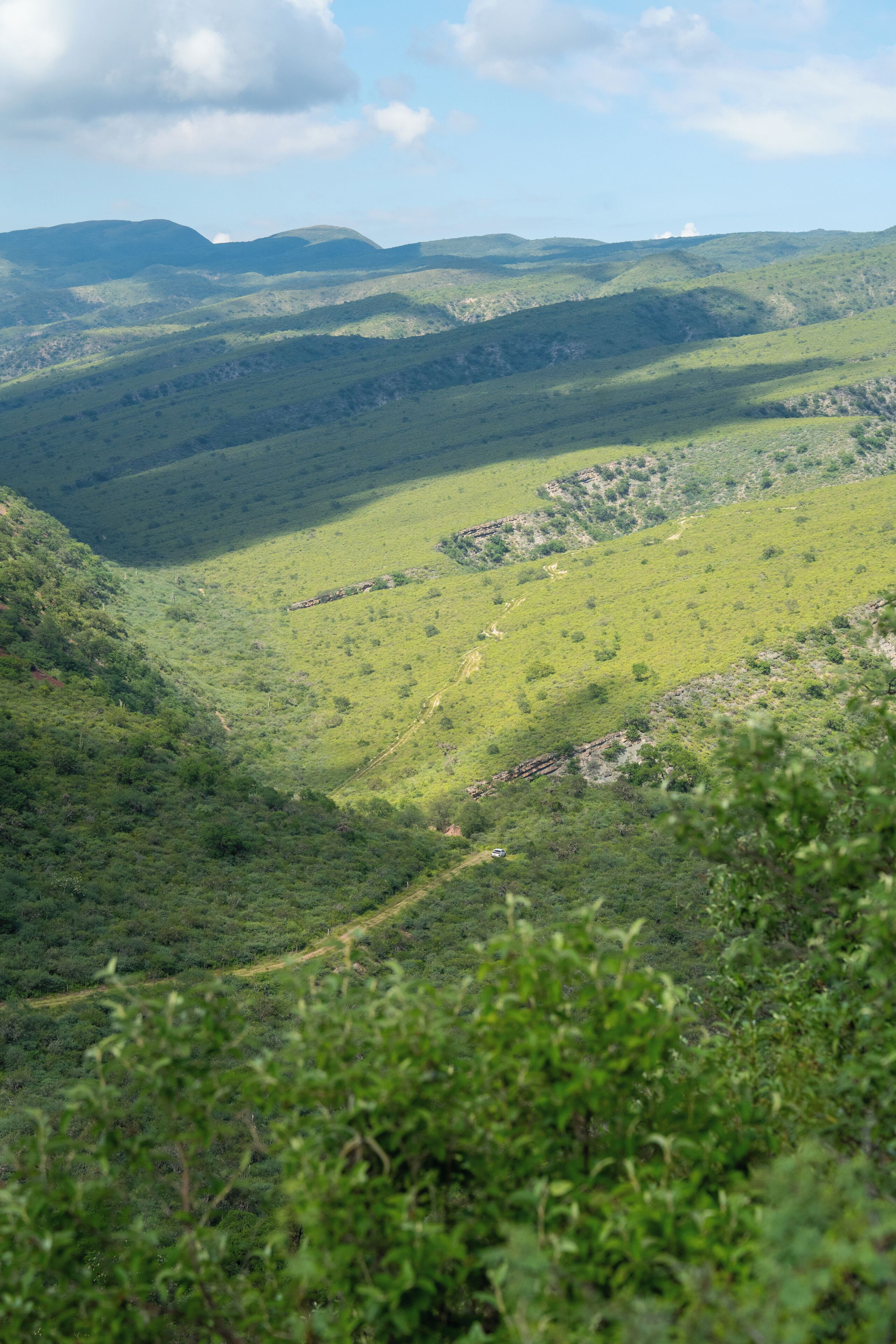 Un paysage vallonné avec un sentier de terre.