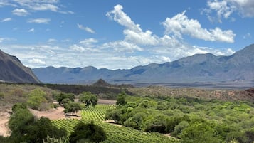 マウンテン ビュー