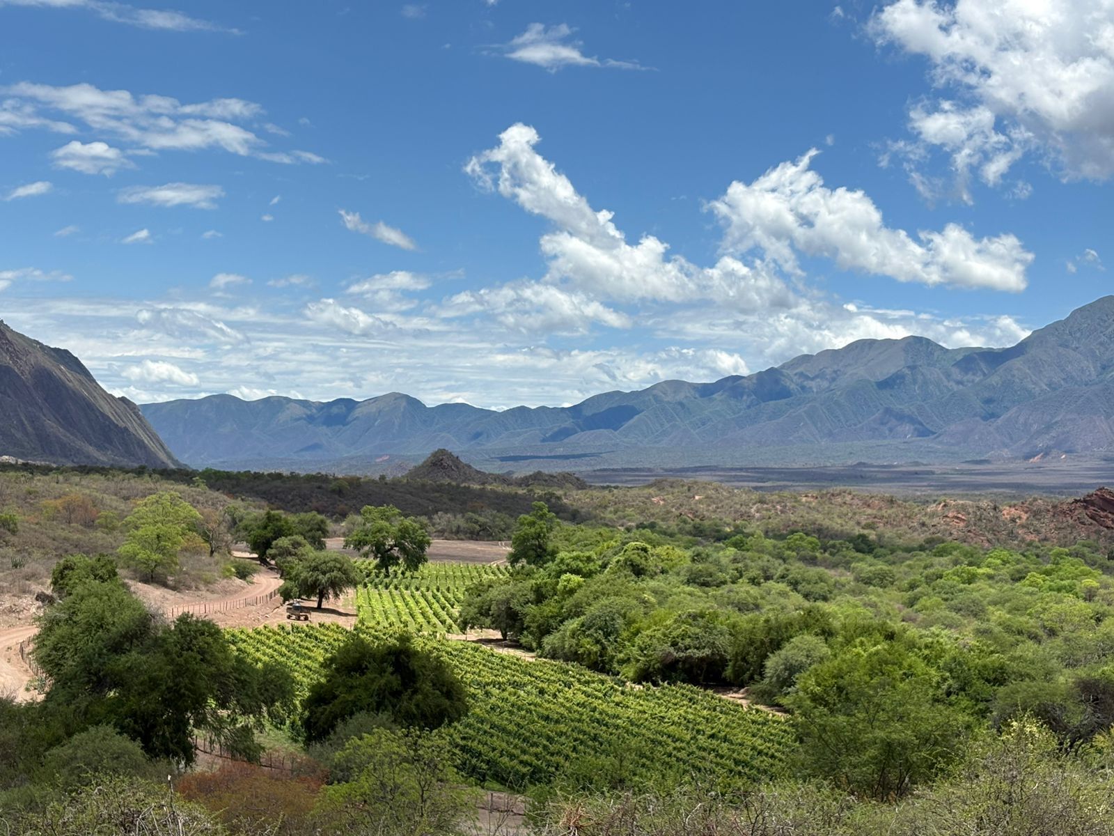 Coffres-forts dans les chambres, rideaux occultants