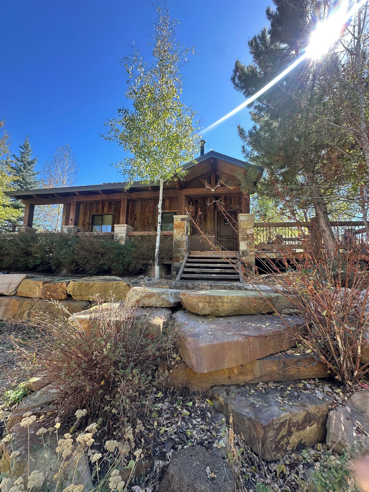 オーナーのプロフィール画像