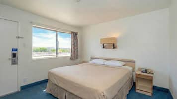 Habitación de hotel con una cama grande, una mesita de noche con lámpara, una ventana con vistas y una puerta con cerradura.