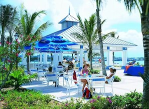 An outdoor seating area with white chairs and tables, a blue umbrella, and palm trees.
