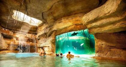 Harborside at Atlantis Resort - 1 Bedroom -ATLANTIS WATERPARKS INCLUDED