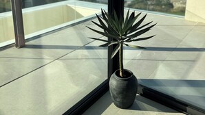 Un balcon agrémenté d’un pot de fleurs, une vue dégagée sur la mer et une côte lointaine.