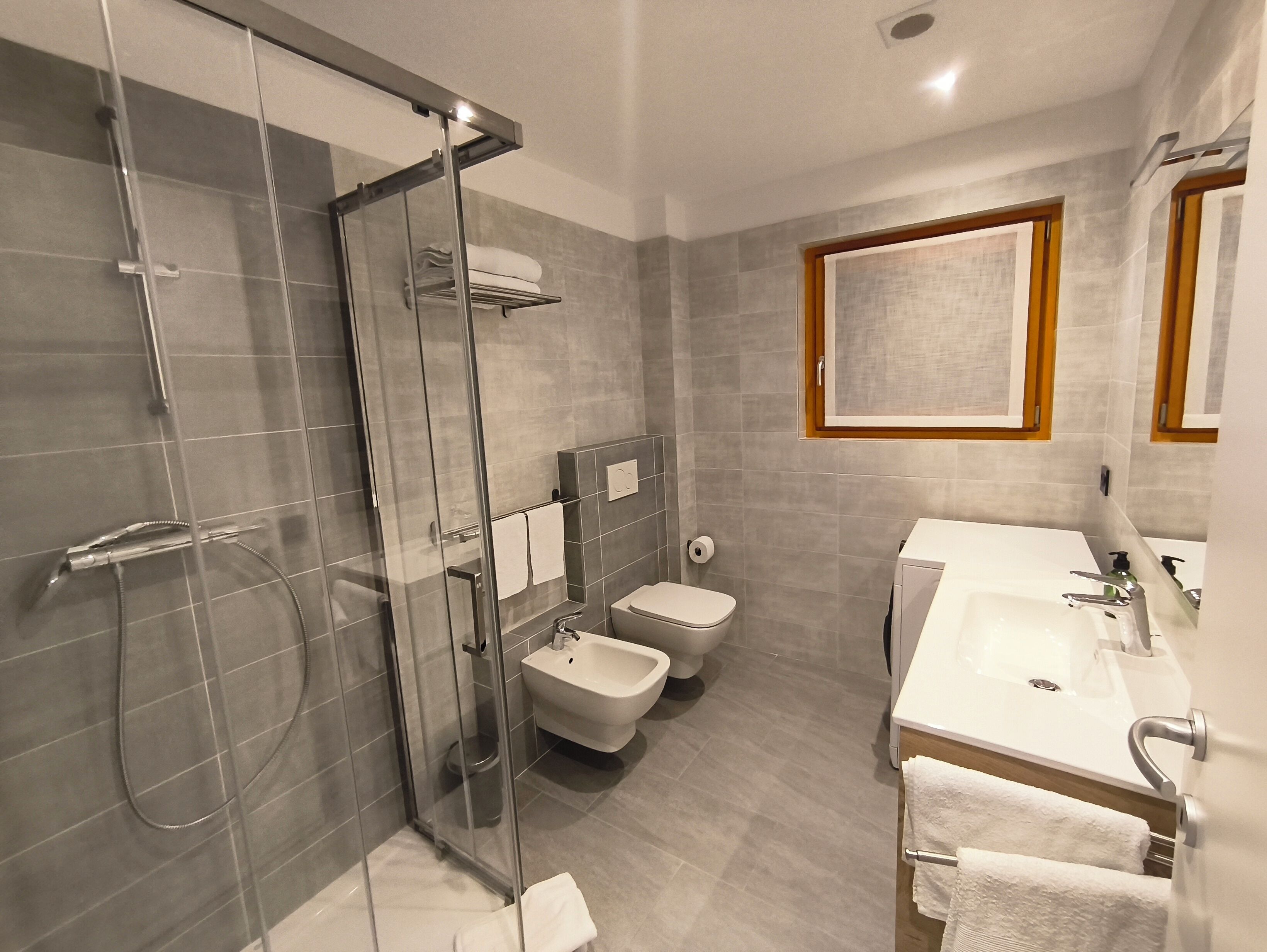 Shower, hair dryer, bidet, towels