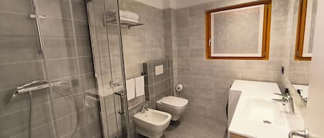Regadera, secadora de cabello, bidet, toallas