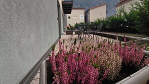 Ein Innenhof mit Sitzgelegenheit und Blumenbeet.