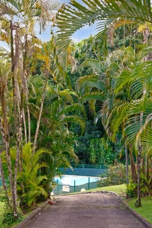 Property grounds - Apt Fort-de-France Didier : Terrace Pool Park (Fort-de-France)