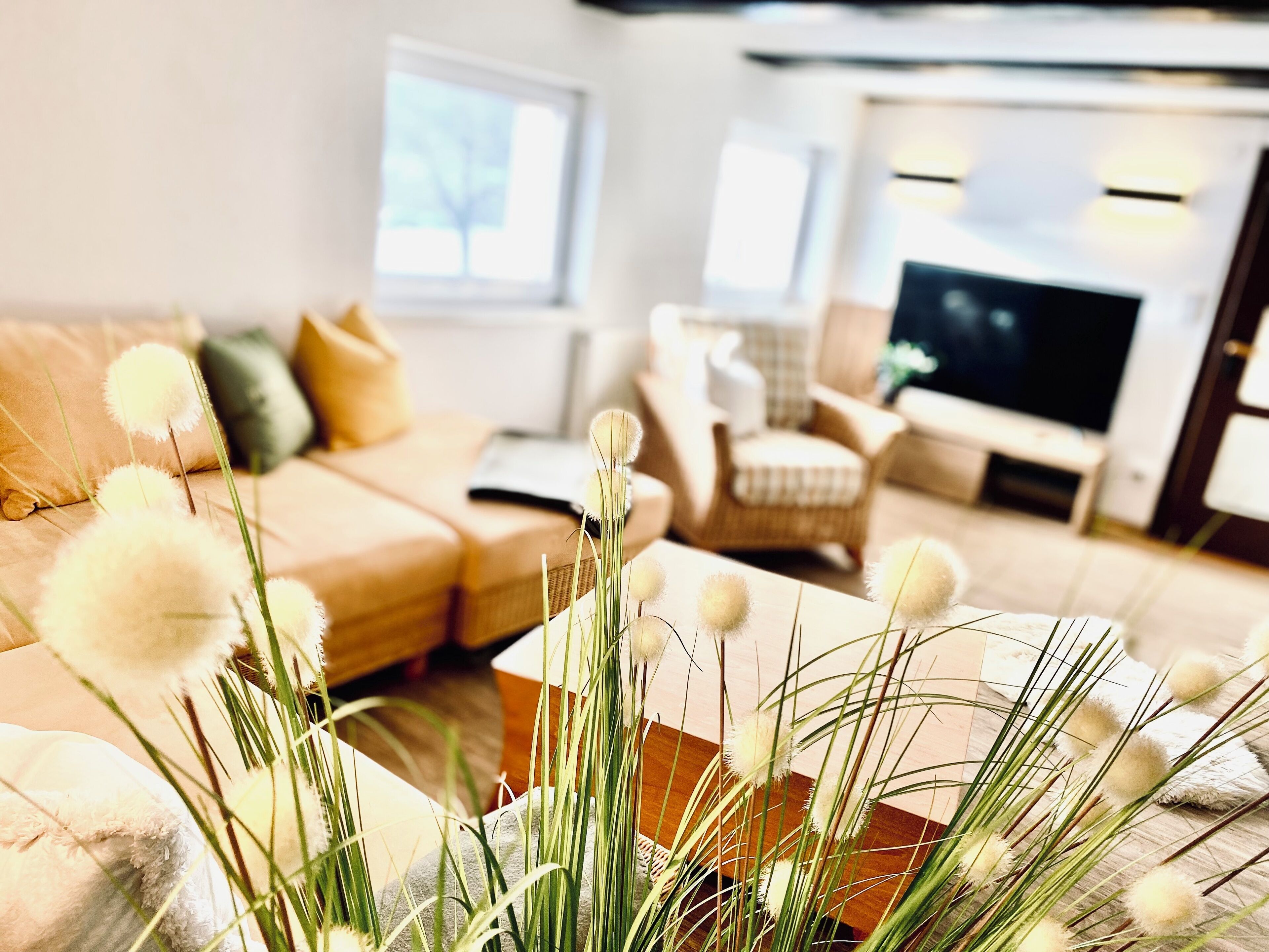 Smart TV, books, stereo