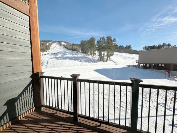 Property grounds - Modern Townhouse at Cranmore Mountain, Ski On/Off (Conway)