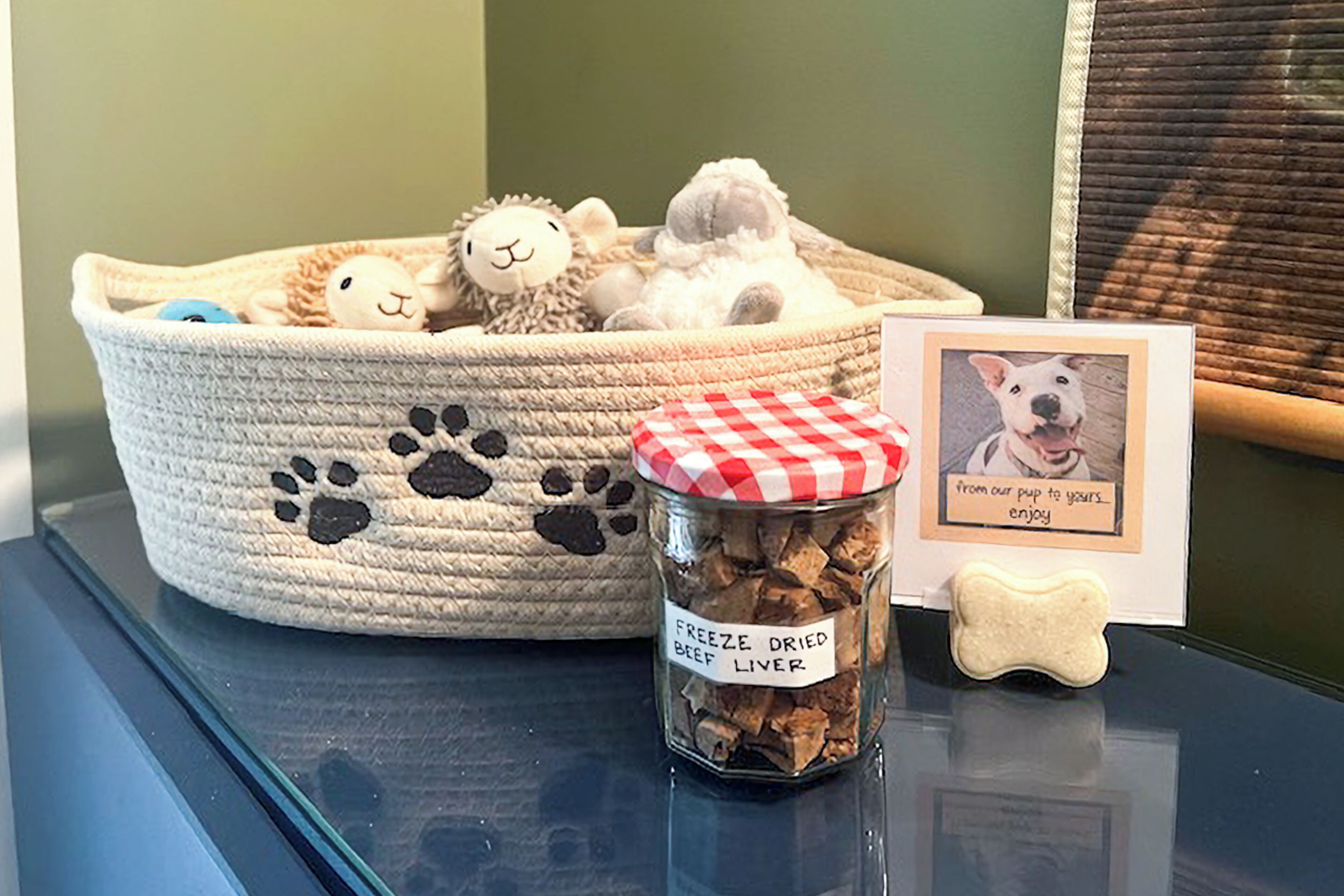 Una cama para mascotas con huellas, un tarro etiquetado como 'hígado de res deshidratado' y una foto enmarcada de un perro con un pie de foto.