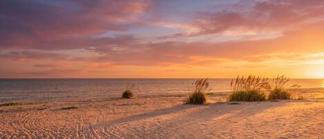 A beach with sand and sparse vegetation.