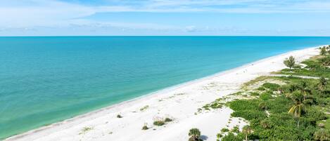 Une plage de sable blanc, avec une eau turquoise cristalline et une végétation luxuriante.