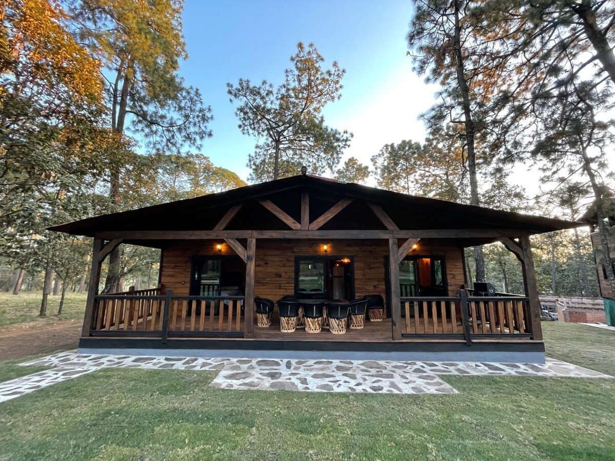 オーナーのプロフィール画像