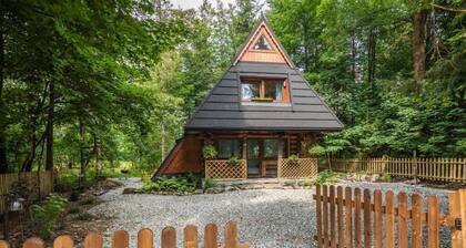 Mountain Shelter CH41