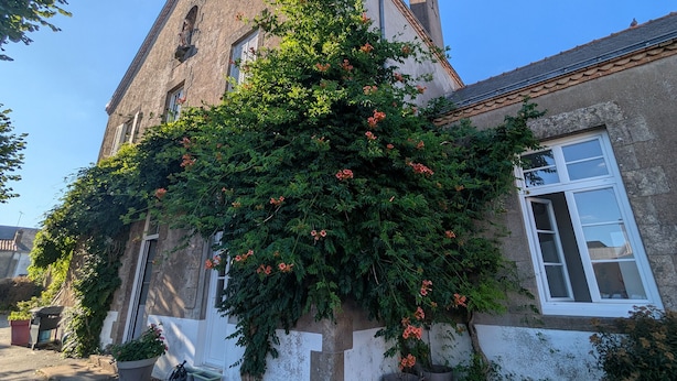 A historic building with a large tree covered in flowers, a white window, and a bicycle parked outside. - La Bonne Ecole - La Marelle Vacation Rental - Sleeps 7 - 20 min from Puy du Fou - (Les Landes-Genusson)