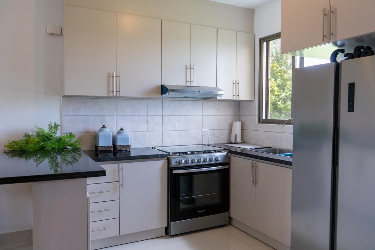 Microondas, horno y placa de cocina